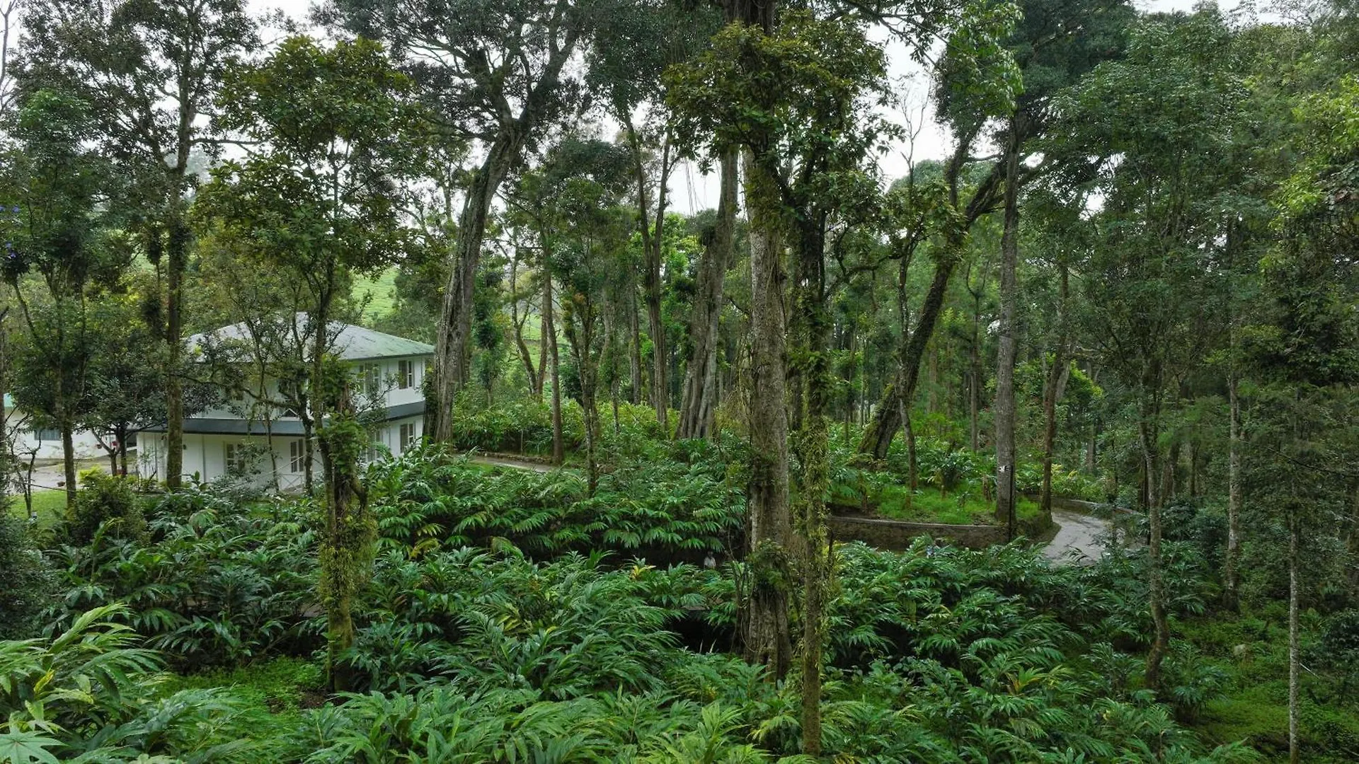 Makayiram Retreat Hotel Munnar 0*,  India